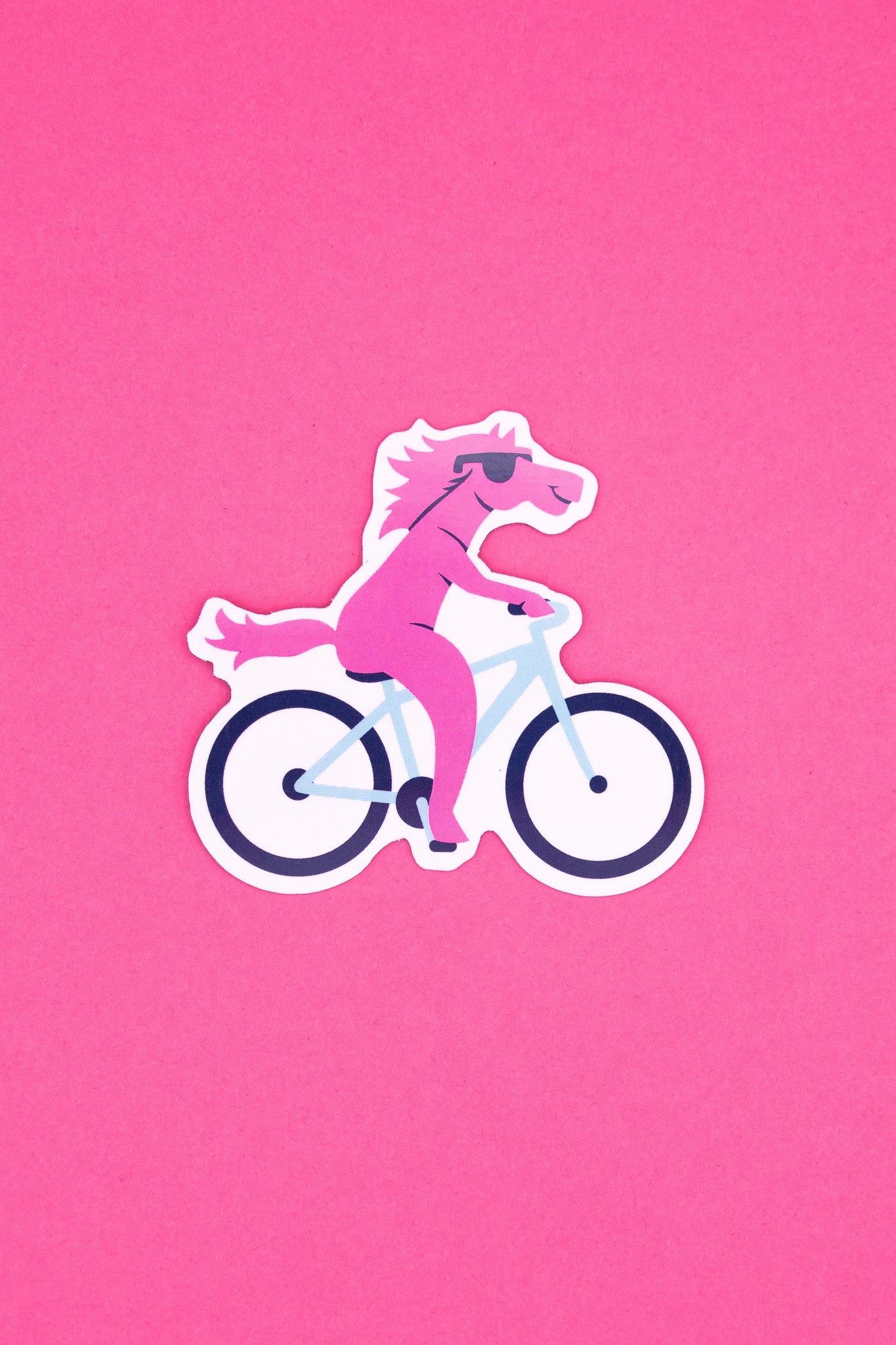 Big Magnet Bike