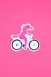 Big Magnet Bike