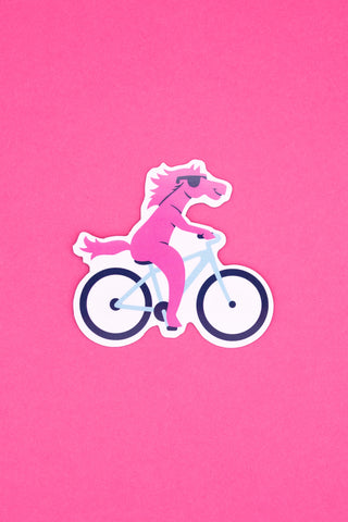 Big Magnet Bike