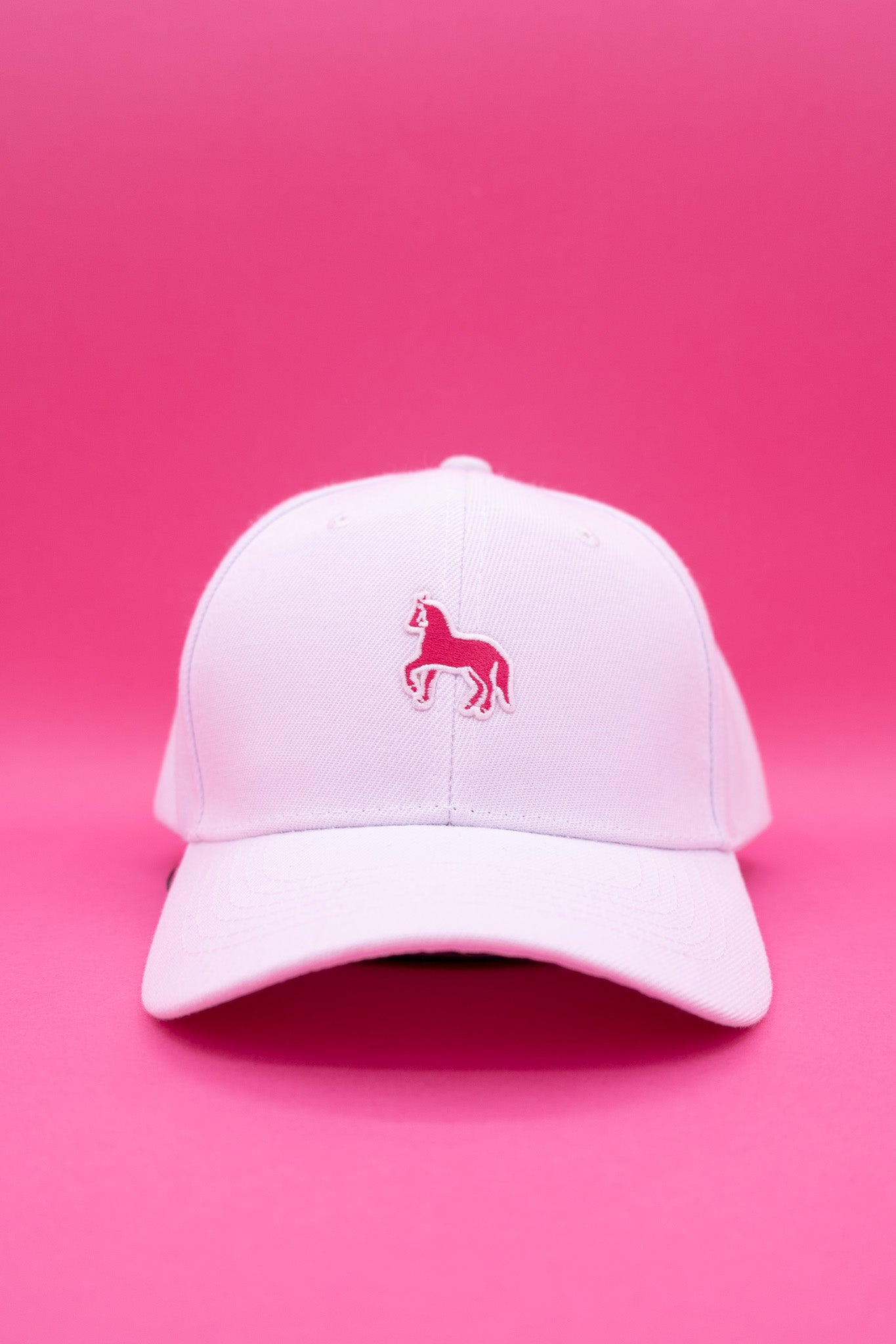 Adult Bball Hat with Pony