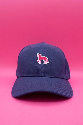 Adult Bball Hat with Pony