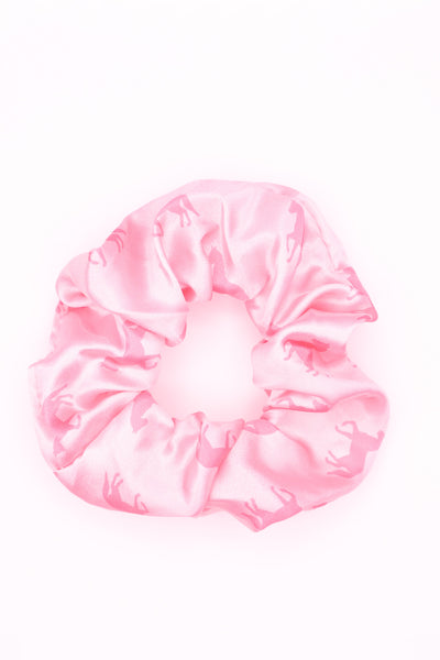 Satin Pony Scrunchie