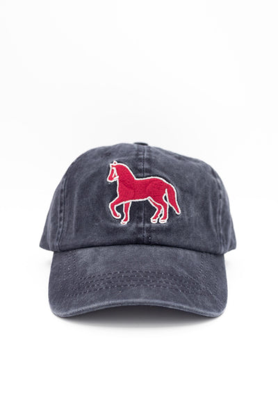 Youth Bball Hat with Pony