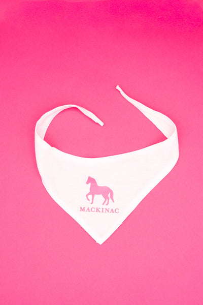 Pony Bandana