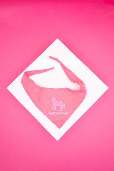 Pony Bandana
