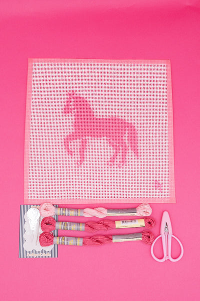 Needlepoint Kit