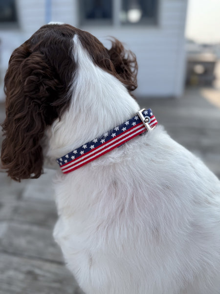 Patriotic Dog Collar
